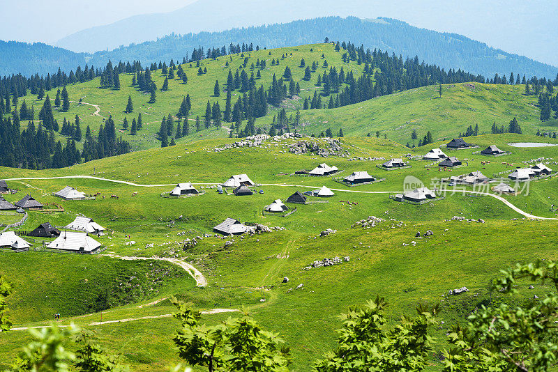 Velika planina，欧洲斯洛文尼亚的大牧场高原，有许多小屋